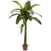 Real Touch 6 Ft. Artificial Green Banana Silk Tree 1 Real Touch 6 Ft. Artificial Green Banana Silk Tree -AFLORAL ONLINE STORE nearly natural artificial trees 5338 64 1000