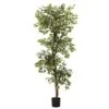 6 Ft. Artificial Variegated Ficus Tree 2 6 Ft. Artificial Variegated Ficus Tree -AFLORAL ONLINE STORE nearly natural artificial trees 5345 64 1000