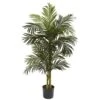 Indoor 5 Ft. Golden Cane Palm Artificial Tree -AFLORAL ONLINE STORE nearly natural artificial trees 5358 64 1000