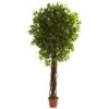 7.5 Ft. Artificial UV Resistant Indoor/Outdoor Ficus Tree -AFLORAL ONLINE STORE nearly natural artificial trees 5379 64 1000