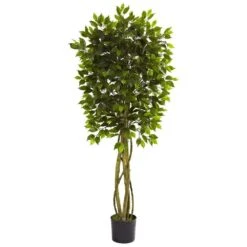 5.5 Ft. Artificial UV Resistant Indoor/Outdoor Ficus Tree