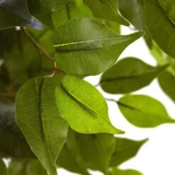 5.5 Ft. Artificial UV Resistant Indoor/Outdoor Ficus Tree -AFLORAL ONLINE STORE nearly natural artificial trees 5380 c3 1000