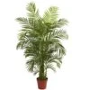 4.5 Ft. Artificial UV Resistant Indoor/Outdoor Areca Palm -AFLORAL ONLINE STORE nearly natural artificial trees 5389 64 1000