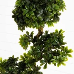 5 Ft. Artificial UV Resistant Indoor/Outdoor Pittispourm -AFLORAL ONLINE STORE nearly natural artificial trees 5393 4f 1000