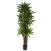 6.5 Ft. Artificial Dracaena Tree