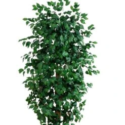 8 Ft. Artificial Ficus Tree -AFLORAL ONLINE STORE nearly natural artificial trees 5427 1f 1000