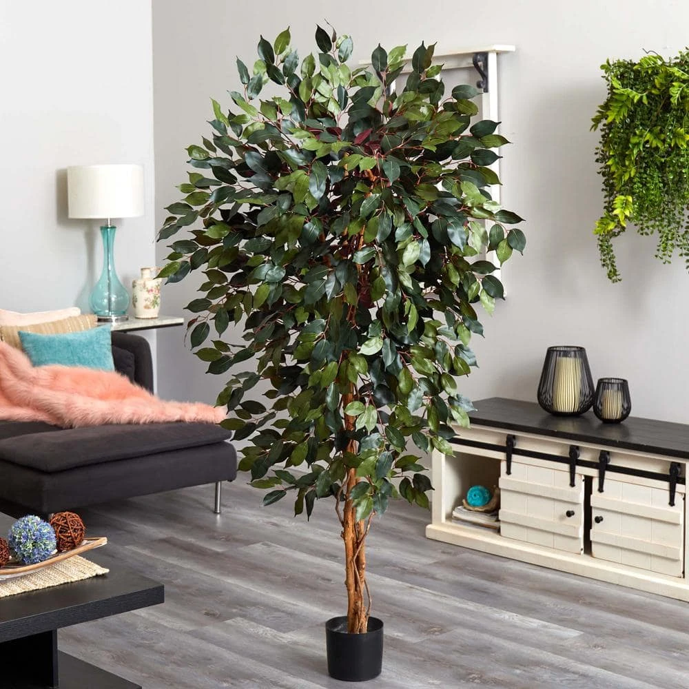6 Ft. Artificial Capensia Ficus Tree 5 6 Ft. Artificial Capensia Ficus Tree - Image 3
