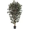 6 Ft. Artificial Capensia Ficus Tree -AFLORAL ONLINE STORE nearly natural artificial trees 5436 64 1000