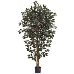 6 Ft. Artificial Capensia Ficus Tree