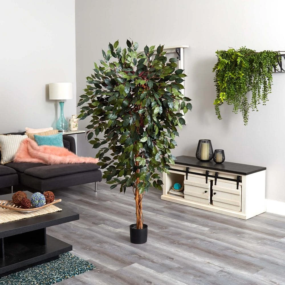 6 Ft. Artificial Capensia Ficus Tree 4 6 Ft. Artificial Capensia Ficus Tree - Image 2