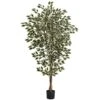 6 Ft. Artificial Hawaiian Ficus Tree 1 6 Ft. Artificial Hawaiian Ficus Tree -AFLORAL ONLINE STORE nearly natural artificial trees 5437 64 1000