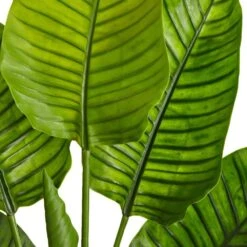 63 In. Artificial UV Resistant Indoor/Outdoor Travelers Palm Tree -AFLORAL ONLINE STORE nearly natural artificial trees 5445 44 1000