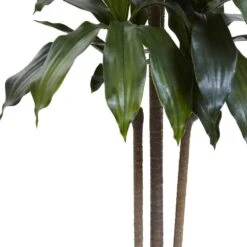 5 Ft. Artificial Indoor/Outdoor UV Resistant Dracaena Plant 8 5 Ft. Artificial Indoor/Outdoor UV Resistant Dracaena Plant -AFLORAL ONLINE STORE nearly natural artificial trees 5446 4f 1000