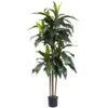 5 Ft. Artificial Indoor/Outdoor UV Resistant Dracaena Plant 1 5 Ft. Artificial Indoor/Outdoor UV Resistant Dracaena Plant -AFLORAL ONLINE STORE nearly natural artificial trees 5446 64 1000