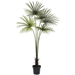 7 Ft. Artificial UV Resistant Indoor/Outdoor Fan Palm Tree