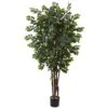 7 Ft. Artificial Sakaki Silk Tree -AFLORAL ONLINE STORE nearly natural artificial trees 5452 64 1000
