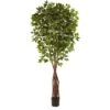 7.5 Ft. Artificial Super Deluxe Ficus Tree 2 7.5 Ft. Artificial Super Deluxe Ficus Tree -AFLORAL ONLINE STORE nearly natural artificial trees 5453 64 1000