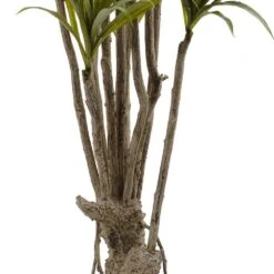 Indoor 5 Ft. Artificial Dracaena Silk Tree -AFLORAL ONLINE STORE nearly natural artificial trees 5466 4f 1000