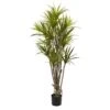 Indoor 5 Ft. Artificial Dracaena Silk Tree -AFLORAL ONLINE STORE nearly natural artificial trees 5466 64 1000