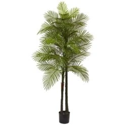 Indoor And Outdoor 7 Ft. Artificial Double Robellini Palm Tree UV Resistant