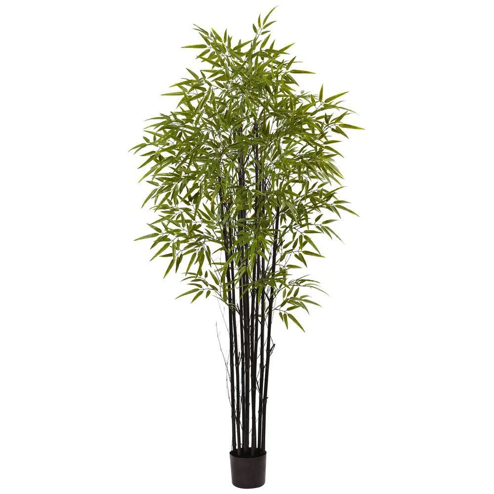 Indoor And Outdoor 6 Ft. Artificial Black Bamboo Tree UV Resistant 4 Indoor And Outdoor 6 Ft. Artificial Black Bamboo Tree UV Resistant - Image 2