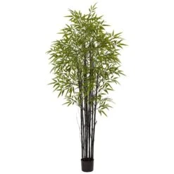 Indoor And Outdoor 6 Ft. Artificial Black Bamboo Tree UV Resistant