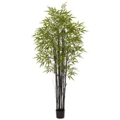 Indoor And Outdoor 6 Ft. Artificial Black Bamboo Tree UV Resistant 14 Indoor And Outdoor 6 Ft. Artificial Black Bamboo Tree UV Resistant -AFLORAL ONLINE STORE nearly natural artificial trees 5481 66 1000