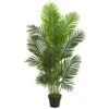 Indoor 5 Ft. Paradise Palm Artificial Tree -AFLORAL ONLINE STORE nearly natural artificial trees 5533 64 1000