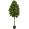 Indoor 6 Ft. Fiddle Leaf Fig Artificial Tree -AFLORAL ONLINE STORE nearly natural artificial trees 5550 64 1000