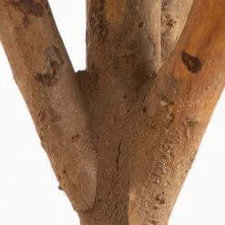 Indoor 3 Ft. Bonsai Styled Podocarpus Artificial Tree -AFLORAL ONLINE STORE nearly natural artificial trees 5554 4f 1000