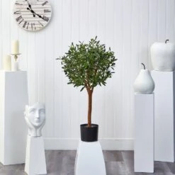 Indoor 3.5 In. Olive Artificial Tree 7 Indoor 3.5 In. Olive Artificial Tree -AFLORAL ONLINE STORE nearly natural artificial trees 5565 31 1000