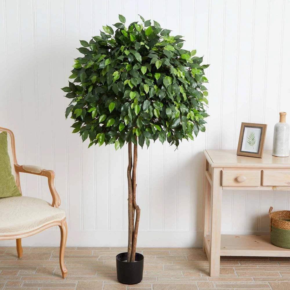Indoor 5.5 Ft. Ficus Artificial Tree 5 Indoor 5.5 Ft. Ficus Artificial Tree - Image 3