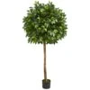 Indoor 5.5 Ft. Ficus Artificial Tree -AFLORAL ONLINE STORE nearly natural artificial trees 5572 64 1000