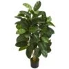 Indoor 4 Ft. Oak Ficus Artificial Tree 2 Indoor 4 Ft. Oak Ficus Artificial Tree -AFLORAL ONLINE STORE nearly natural artificial trees 5574 64 1000