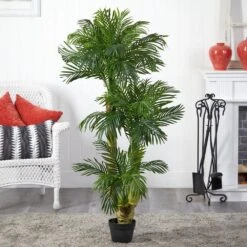 Indoor 5 Ft. Triple Phoenix Palm Artificial Tree 7 Indoor 5 Ft. Triple Phoenix Palm Artificial Tree -AFLORAL ONLINE STORE nearly natural artificial trees 5588 31 1000