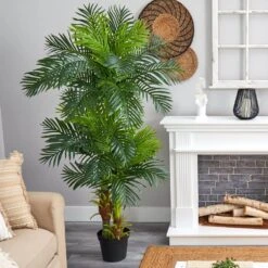 Indoor 6ft. Hawaii Artificial Palm 13 Indoor 6ft. Hawaii Artificial Palm -AFLORAL ONLINE STORE nearly natural artificial trees 5590 31 1000