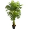 Indoor 5 Ft. Double Stalk Hawaii Palm Artificial Tree 1 Indoor 5 Ft. Double Stalk Hawaii Palm Artificial Tree -AFLORAL ONLINE STORE nearly natural artificial trees 5591 64 1000