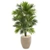 Indoor 4 Ft. Areca Artificial Palm Tree In Sand Colored Planter 1 Indoor 4 Ft. Areca Artificial Palm Tree In Sand Colored Planter -AFLORAL ONLINE STORE nearly natural artificial trees 5636 64 1000