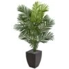 Indoor 5.5 Ft. Paradise Artificial Palm Tree In Black Planter -AFLORAL ONLINE STORE nearly natural artificial trees 5640 64 1000