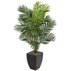 Indoor 5.5 Ft. Paradise Artificial Palm Tree In Black Planter