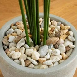 Indoor 5.5 Ft. Paradise Artificial Palm Tree In Sand Colored Planter -AFLORAL ONLINE STORE nearly natural artificial trees 5641 4f 1000