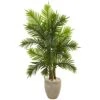 Indoor 5 Ft. Areca Palm Artificial Tree In Sand Colored Planter Real Touch 1 Indoor 5 Ft. Areca Palm Artificial Tree In Sand Colored Planter Real Touch -AFLORAL ONLINE STORE nearly natural artificial trees 5650 64 1000