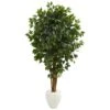 Indoor 6 Ft. Ficus Artificial Tree In White Planter -AFLORAL ONLINE STORE nearly natural artificial trees 5666 64 1000