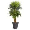 Indoor 5.5 Ft. Triple Areca Palm Artificial Tree In Slate Finish Planter -AFLORAL ONLINE STORE nearly natural artificial trees 5667 64 1000