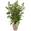 Indoor 5 Ft. Fishtail Palm Artificial Tree In Sand Colored Planter 1 Indoor 5 Ft. Fishtail Palm Artificial Tree In Sand Colored Planter -AFLORAL ONLINE STORE nearly natural artificial trees 5675 64 1000