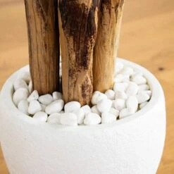 Indoor 5.5 Ft. Triple Areca Palm Artificial Tree In White Planter 11 Indoor 5.5 Ft. Triple Areca Palm Artificial Tree In White Planter -AFLORAL ONLINE STORE nearly natural artificial trees 5683 1f 1000