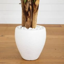Indoor 5.5 Ft. Triple Areca Palm Artificial Tree In White Planter 12 Indoor 5.5 Ft. Triple Areca Palm Artificial Tree In White Planter -AFLORAL ONLINE STORE nearly natural artificial trees 5683 44 1000