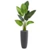 Indoor 5.5 Ft. Traveler's Palm Artificial Tree In Gray Planter -AFLORAL ONLINE STORE nearly natural artificial trees 5686 64 1000