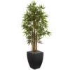 5 Ft. Bamboo Artificial Tree In Black Wash Planter -AFLORAL ONLINE STORE nearly natural artificial trees 5840 64 1000