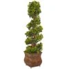Indoor/Outdoor English Ivy Spiral Artificial Tree In Metal Planter, UV Resistant -AFLORAL ONLINE STORE nearly natural artificial trees 5856 64 1000